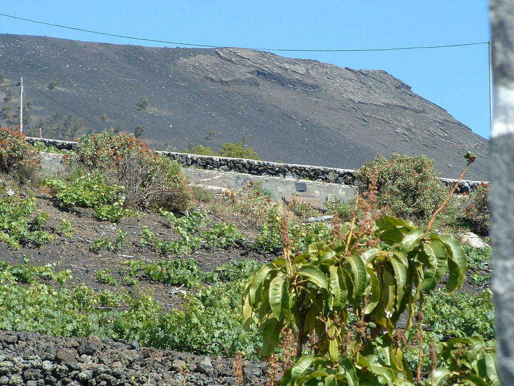 Casa las Las Viñas Fuencaliente de la Palma Exterior foto