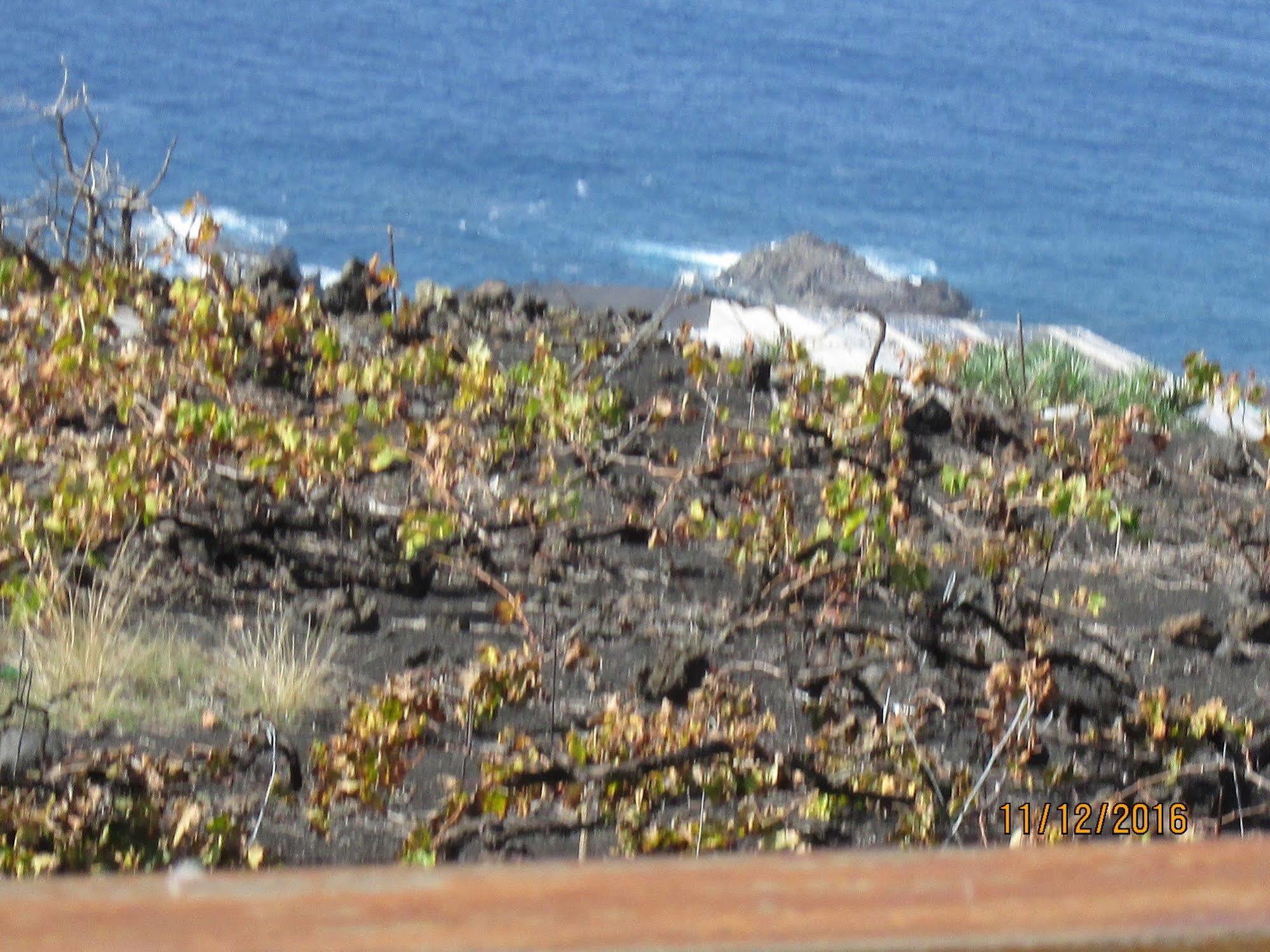 Casa las Las Viñas Fuencaliente de la Palma Exterior foto